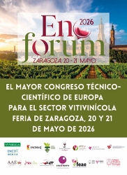 https://enoforum.eu/es/zaragoza-2026/