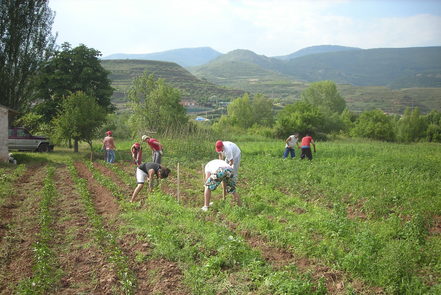 El Gobierno aprueba la prórroga de las medidas urgentes para la contratación temporal de trabajadores en el sector agrario 
