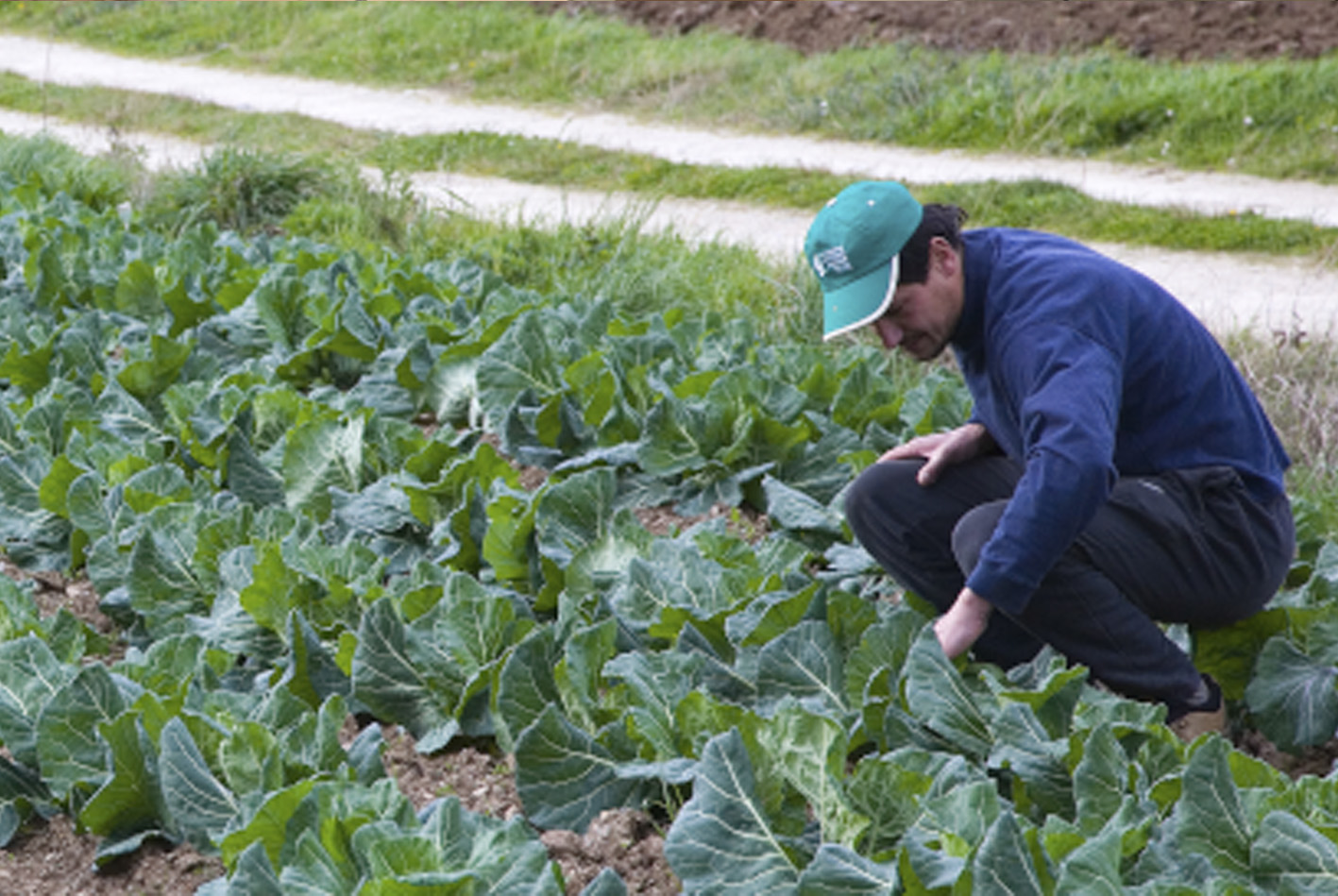 Galicia incentiva el aprovechamiento del potencial del sector agrícola