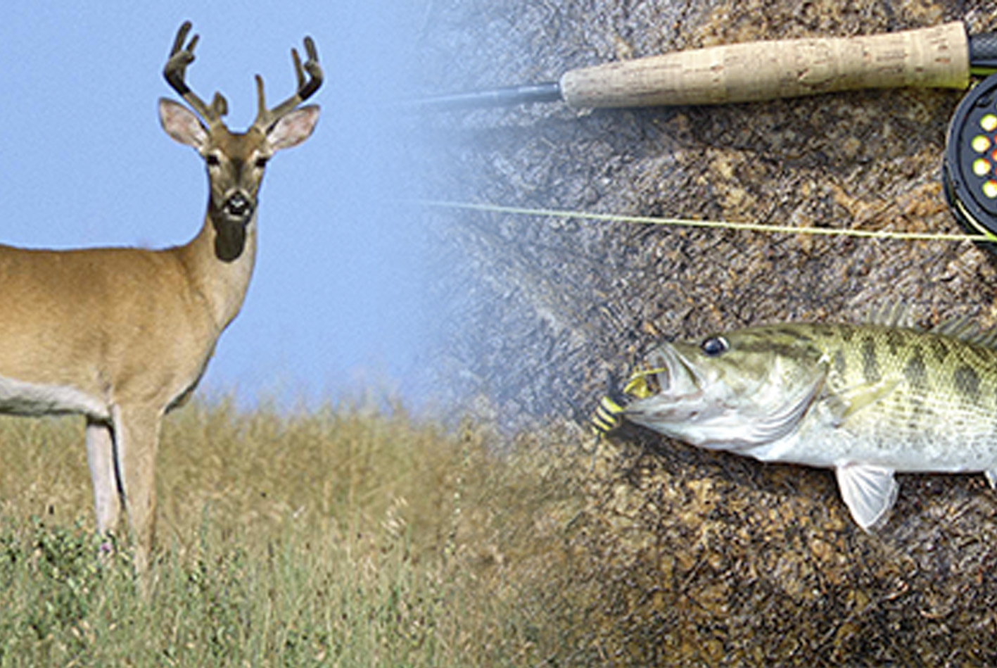 hunting and fishing