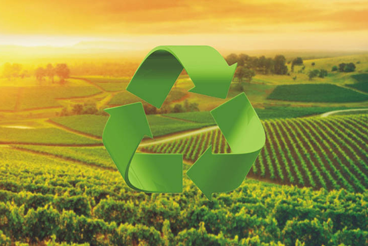 Propuestas sobre la economía circular en el sector
