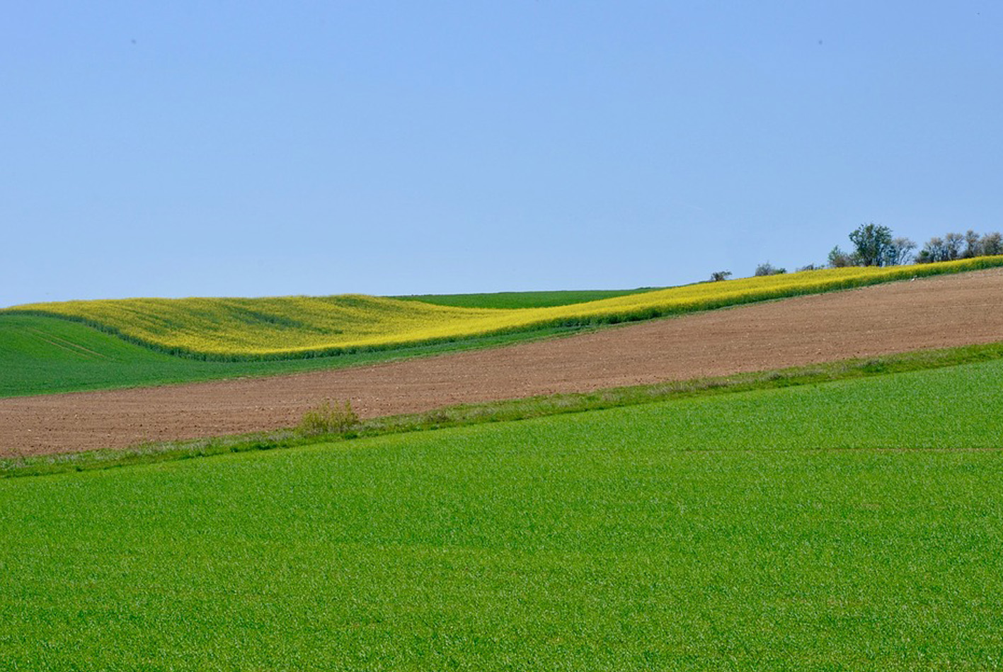 La Consejería de Agricultura, Ganadería y Desarrollo Rural promueve nuevas ayudas para cooperativismo agroalimentario, avanzando en el plan estratégico 2019-2023