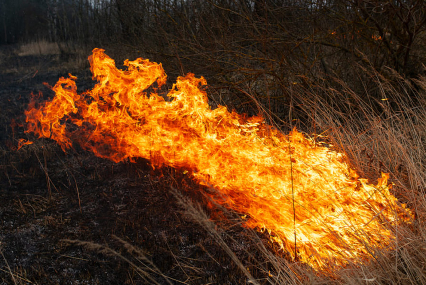 La Junta pide extremar precauciones ante la época de peligro alto de incendios que empieza este lunes