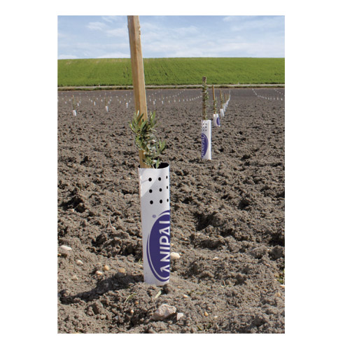 Tutores y protectores ANIPAL