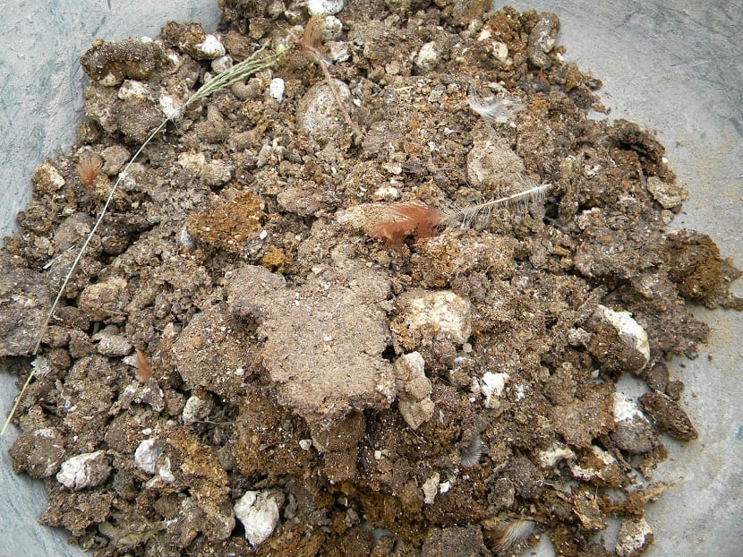 Abonos orgánicos. Gallinaza de gallina ponedora libre de litera y seca. Evolya