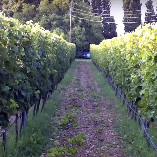 2.2a Despuntadora cuchilla rotativa AGUILAR DCR