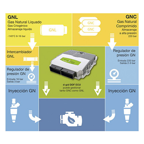 2.3c DIMSPORT Gestión GNC & GNL