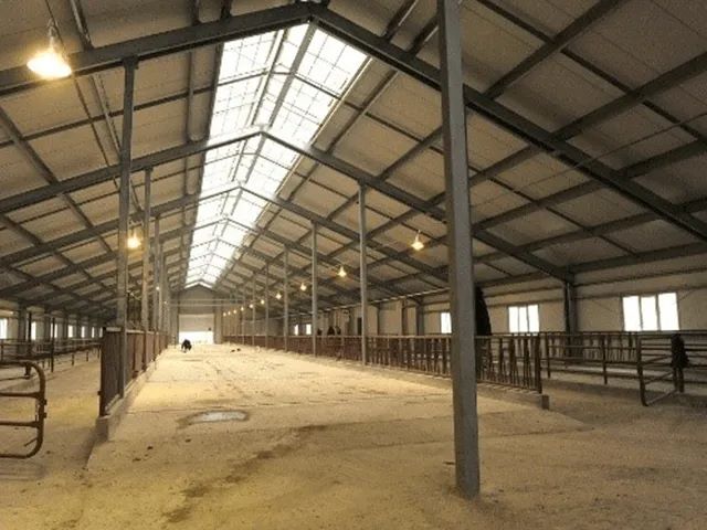 Panel sandwich fibrocemento para granjas PANEL SANDWICH instalado