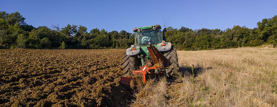 Trabajos agrícolas GRUP SANS Gesa Bros
