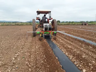 Acolchadora, abonadora y extendedora de mangueras goteo AGROMARVI