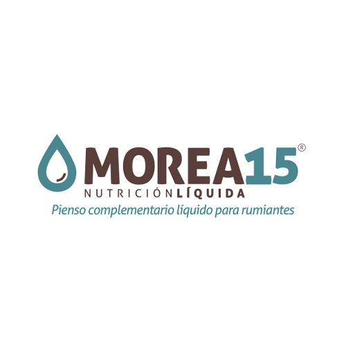 Pienso complementario líquido para rumiantes MOREA 15