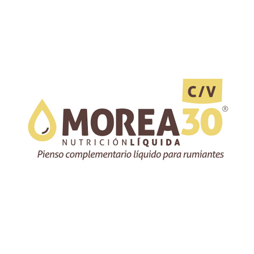 Pienso complementario líquido para rumiantes MOREA 30 CV