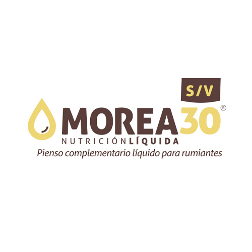 Pienso complementario líquido para rumiantes MOREA 30 SV 