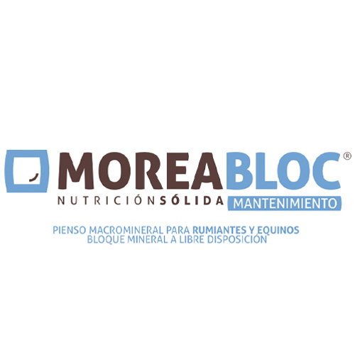 Pienso macromineral para rumiantes y equinos bloque mineral a libre disposición MOREA Bloc Mantenimiento