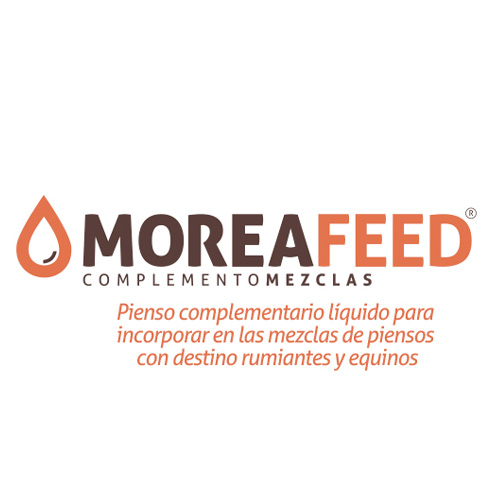 Pienso complementario líquido para incorporar en las mezclas de piensos con destino rumiantes y equinos MOREA Feed