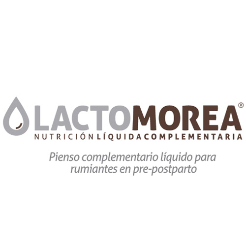 Pienso complementario líquido para rumiantes en pre-postparto MOREA LactoMorea