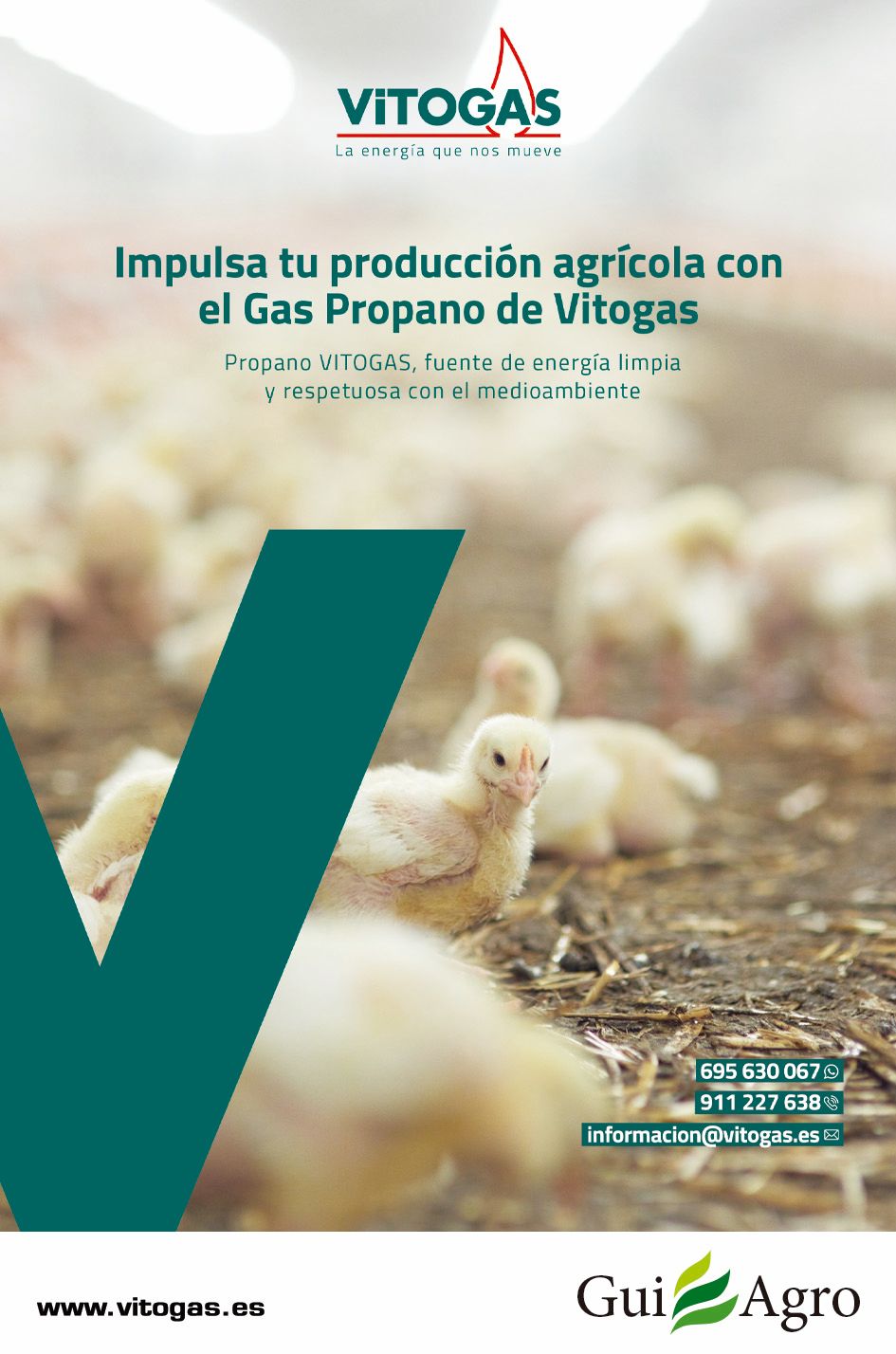 Gas propano de VITOGAS