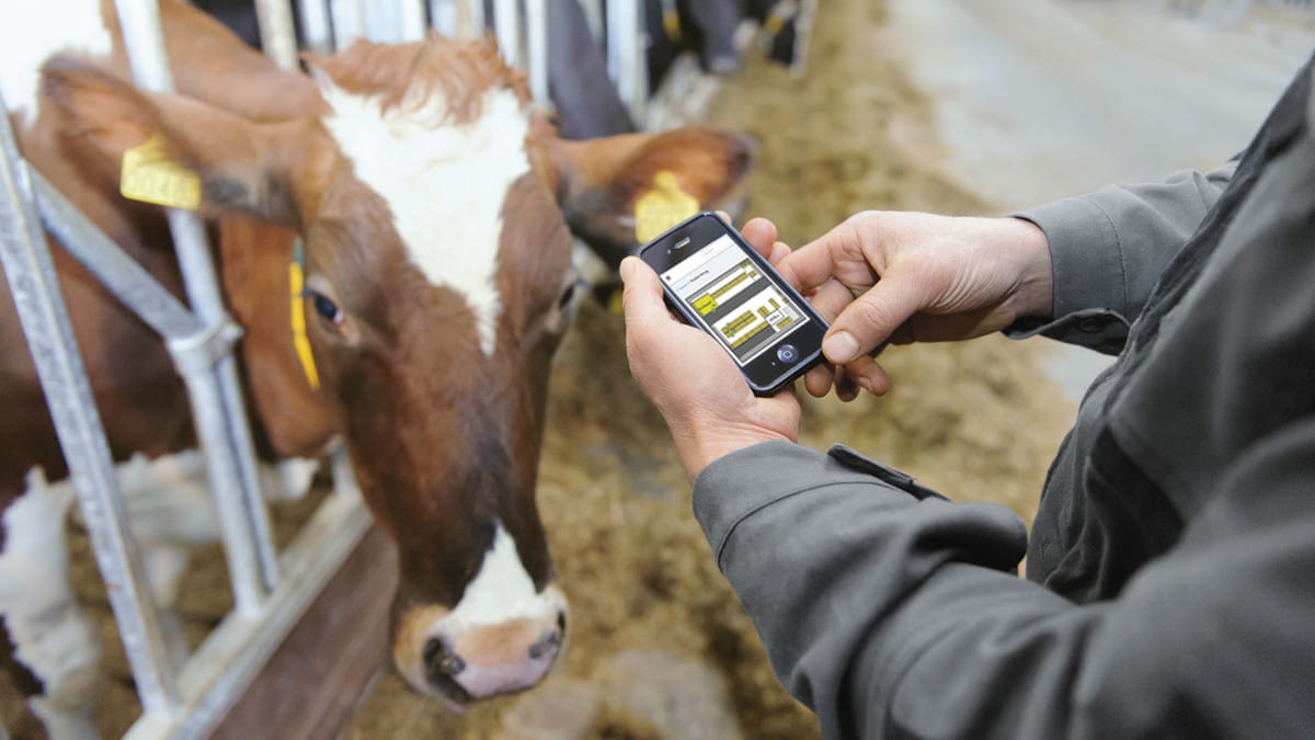 Software GEA CowScout. Deteccion del celo vacas