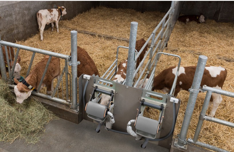 Alimentador de terneros GEA HygieneBox 
