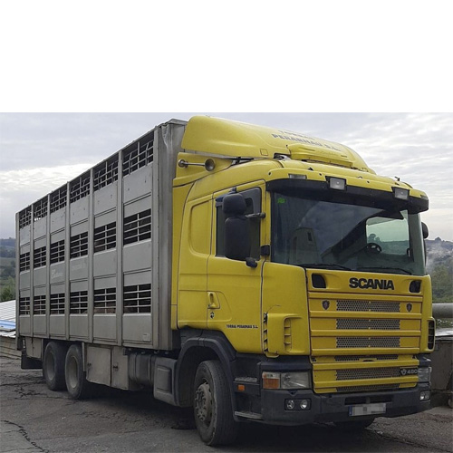 Camión SCANIA de 3 ejes y carrocería CASTAÑÉ de segunda mano, ocasión, usado