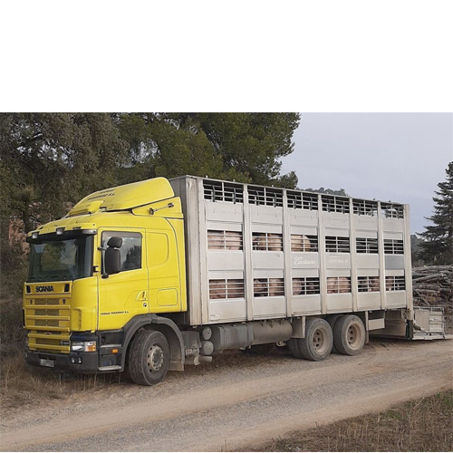 Camión SCANIA de 3 ejes y carrocería CASTAÑÉ de segunda mano