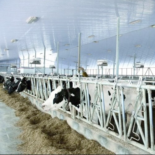 5 Rejas de Autoagarre para vacas ERILON