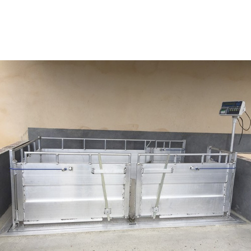 10.2a Báscula de aluminio C. MOLAS para pesar animales fija