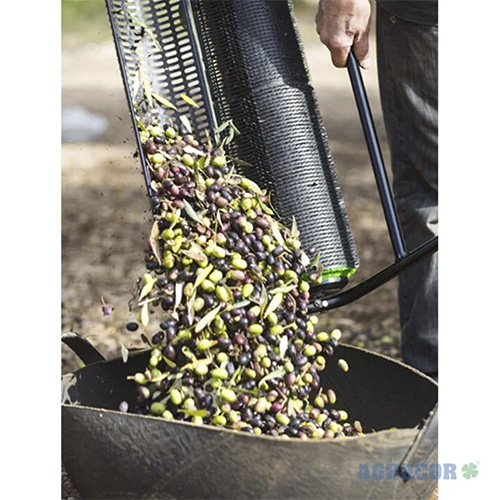 4.23b Recolectoras de aceitunas AGROCOR con cubeta agujereada