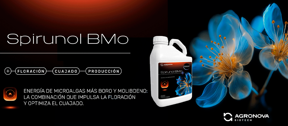  Agronova Biotech lanza Spirunol BMo, el bioestimulante foliar integral con hidrolizado enzimático de microalgas + boro y molibdeno que impulsa floración y cuajado