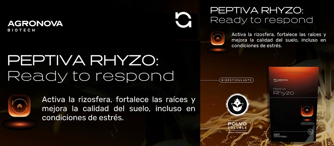 Agronova Biotech lanza Peptiva Rhyzo, bioestimulante de aplicación edáfica de nueva generación