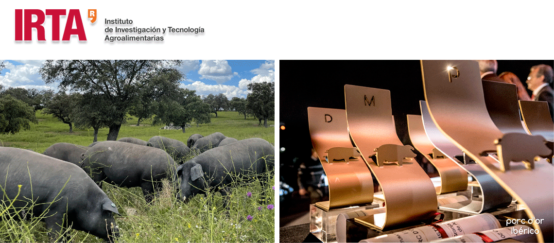 Los Premios Porc d’Or Ibérico desvelan las granjas nominadas de su 10ª edición