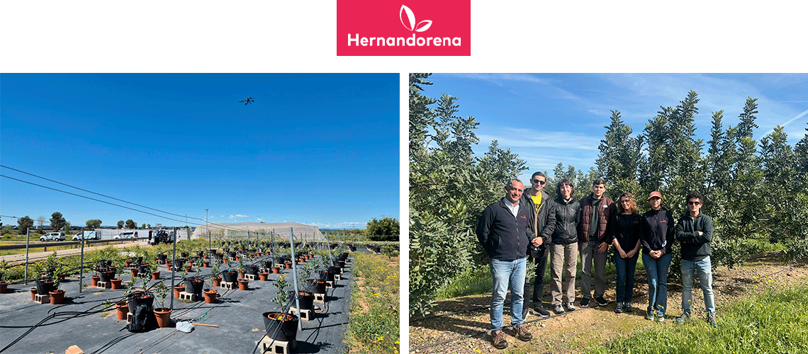 Viveros Hernandorena impulsa un proyecto de investigación para optimizar el manejo hídrico del algarrobo junto al CIDE
