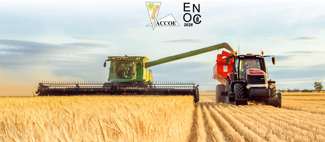 Castilla y León pierde 224.000 hectáreas de cereal en un solo año mientras la finalización de las labores de cosecha confirma un fuerte descenso de producción