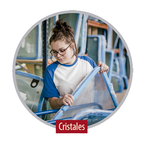 Cristales BEPCO para todas las marcas