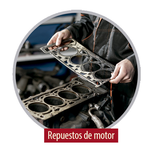 Repuestos BEPCO de motor para todas las marcas