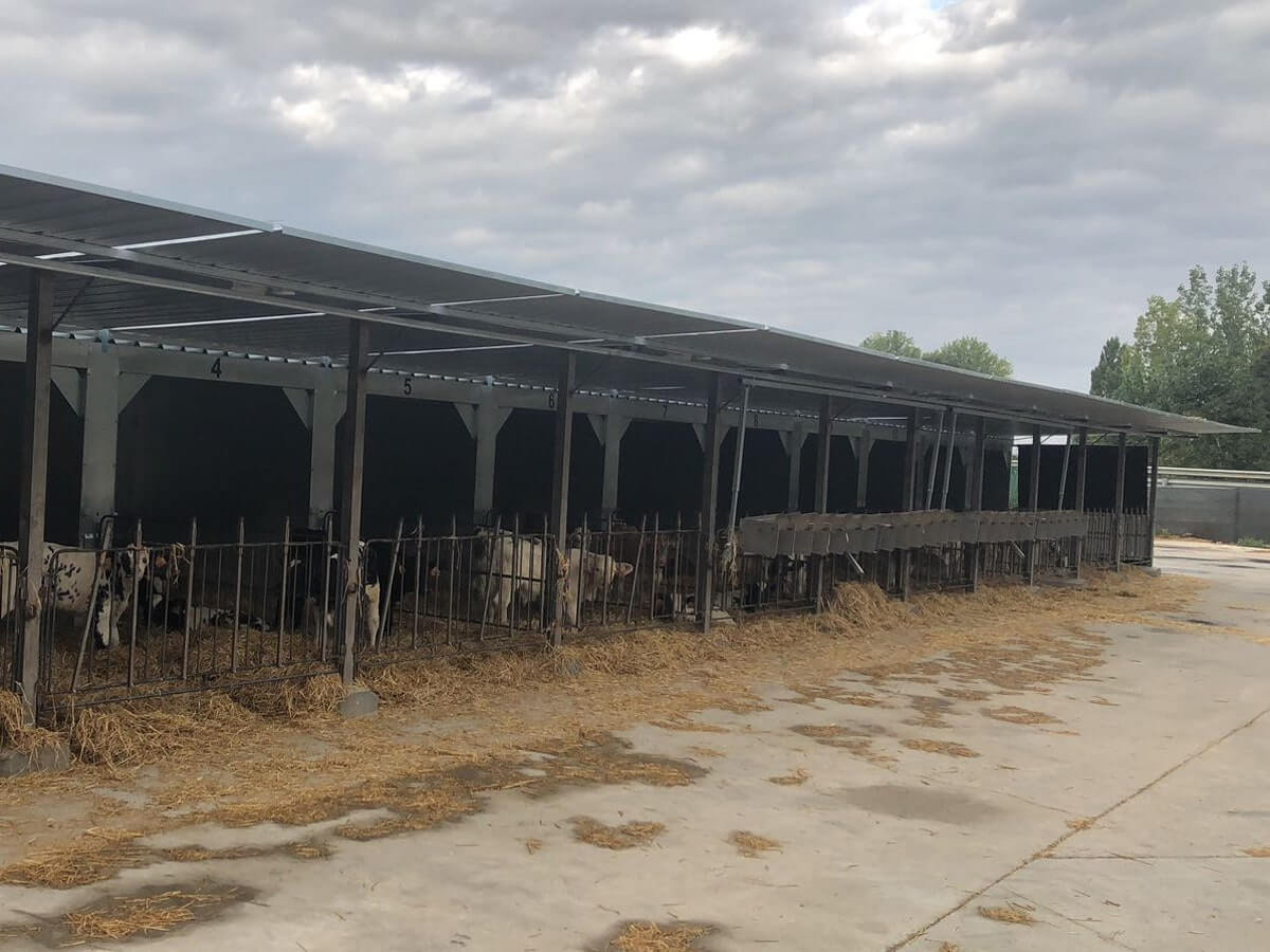 Casetas para terneros TOLMET