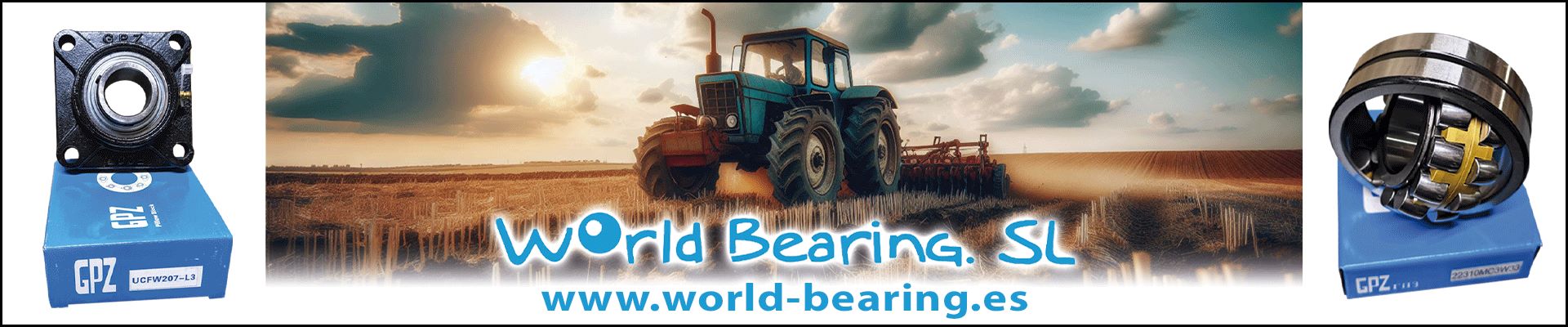 World Bearing rodamientos, estanqueidad, transmisión, lubricantes