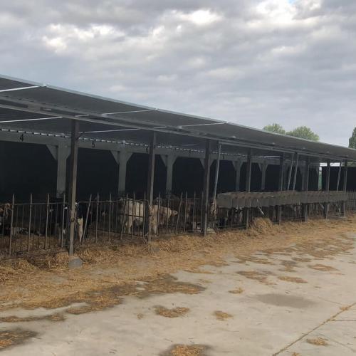 Casetas para terneros TOLMET