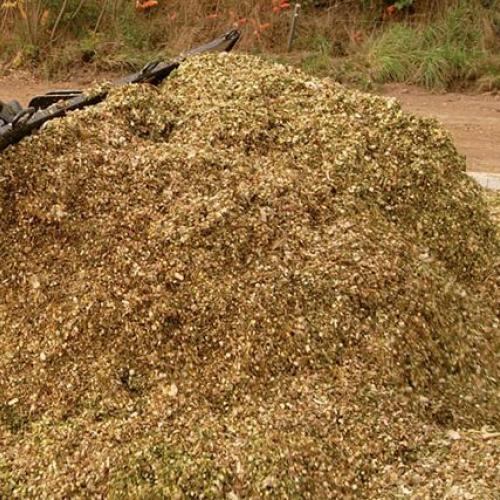 Hoja MAGSI Bull